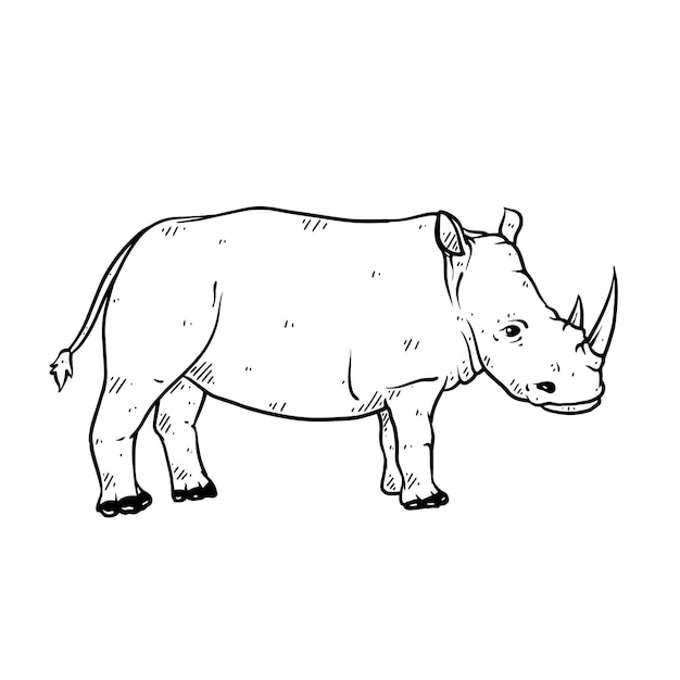 Rino dibujado a mano en boceto estilo garabato