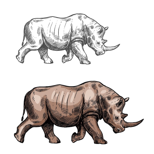 Rinoceronte vector dibujo animal salvaje aislado icono