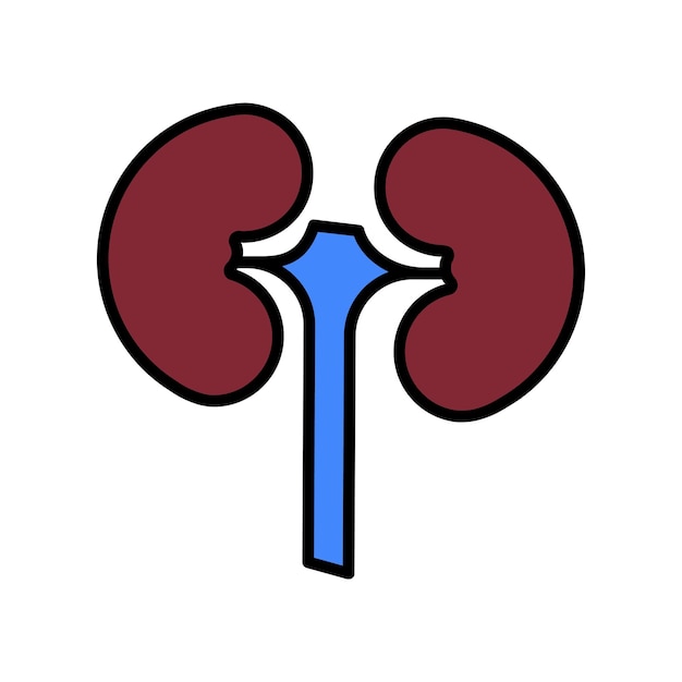 Los riñones establecen el icono de los riñones el sistema urinario la función renal la nefrología la anatomía humana la filtración la excreción la salud de los órganos la producción de orina