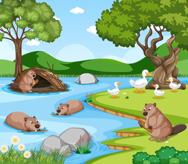 Río en el bosque con castores y patos.