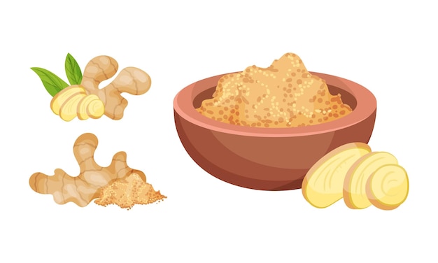 El rizoma de jengibre fresco como especia perfumada de cocina entero y en polvo en un conjunto vectorial de cuenco