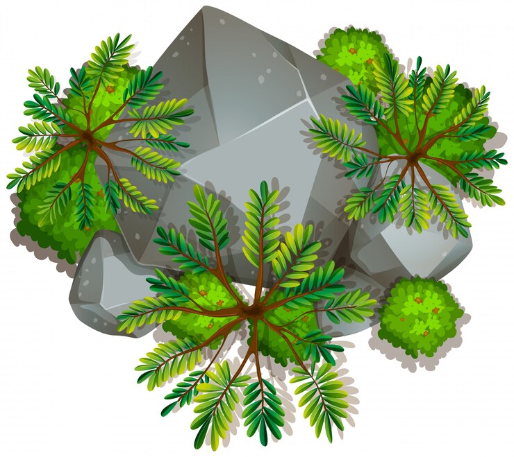 Vector una roca aislada de la naturaleza.