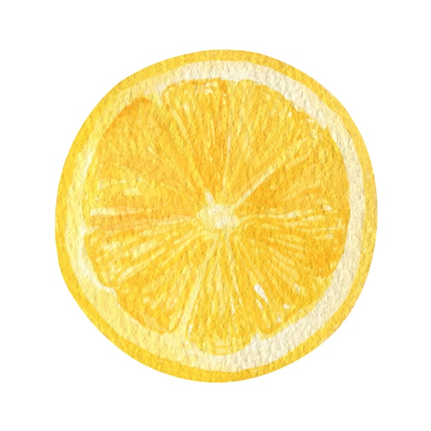 Rodaja de fruta de limón clipart acuarela Ilustración de limón fresco