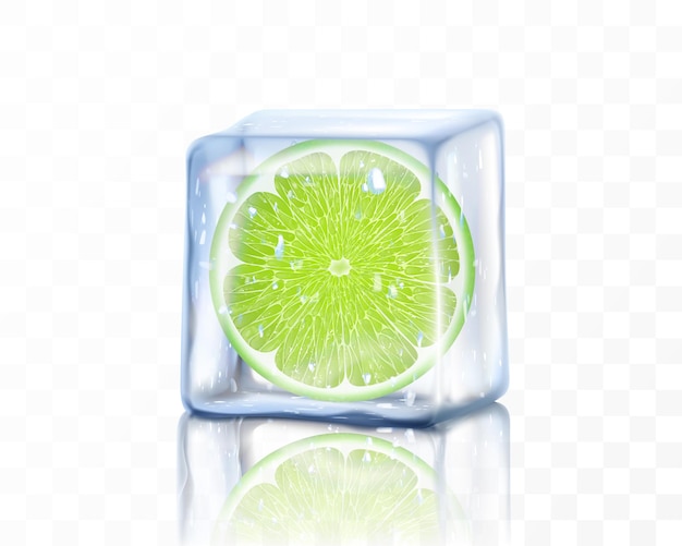 Rodaja de limón maduro fresco en cubo de hielo aislado sobre fondo transparente Pieza congelada de limón Ilustración de vector 3d realista