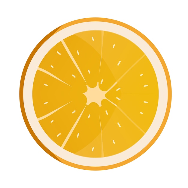 Rodaja de naranja Fondo de fruta fresca aislado en ilustración de vector blanco