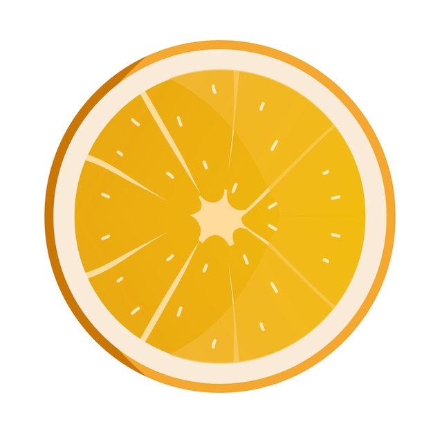 Vector rodaja de naranja fondo de fruta fresca aislado en ilustración de vector blanco