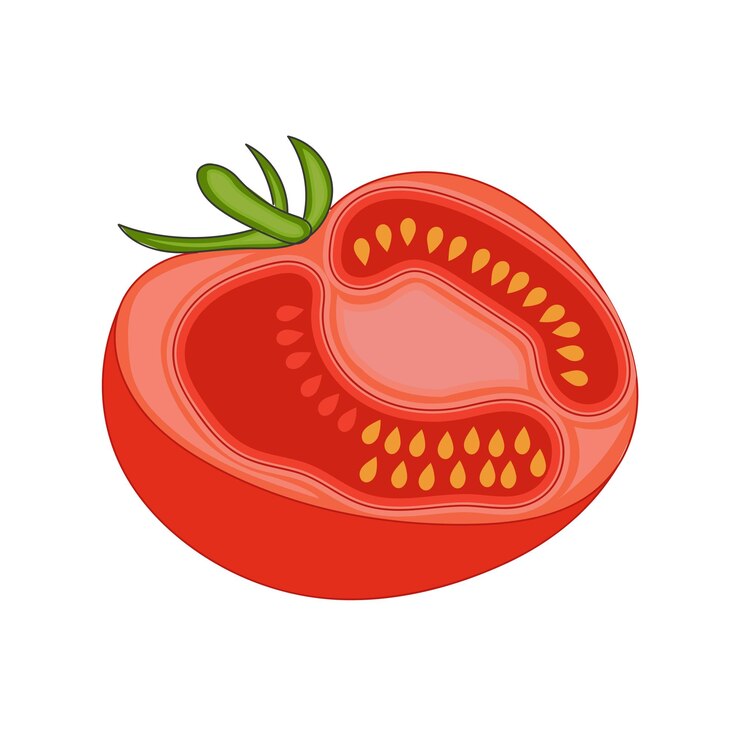 Rodaja de tomate rojo jugoso fresco o medio corte aislado sobre fondo blanco.