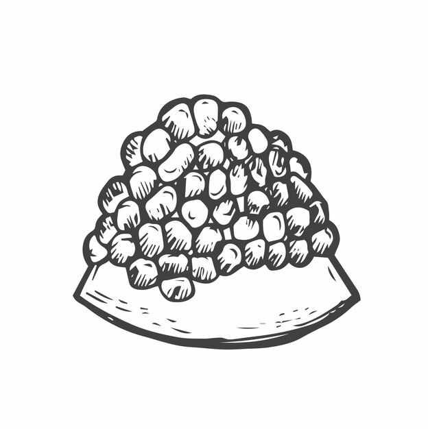 Rodajas de granada y semillas Esbozo de tinta aislado sobre fondo blanco Ilustración vectorial dibujada a mano