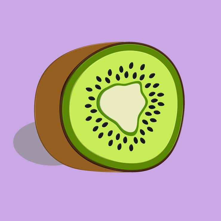 Vector rodajas de kiwi para tu snack saludable