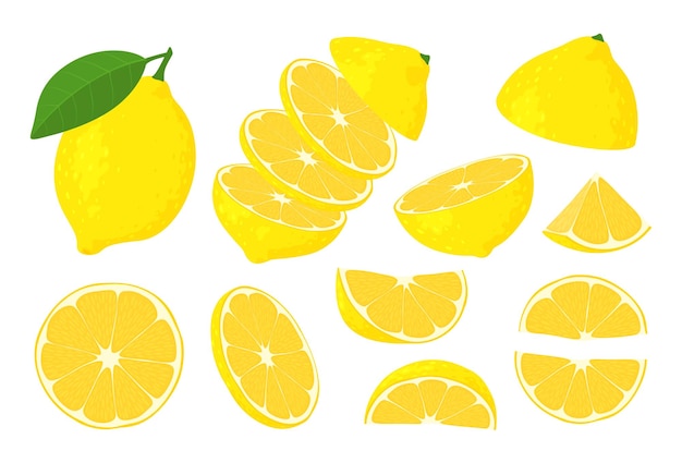Rodajas de limón amarillo Jugosa fruta agria cortada en trozos Limonada con vitamina C Ilustración vectorial