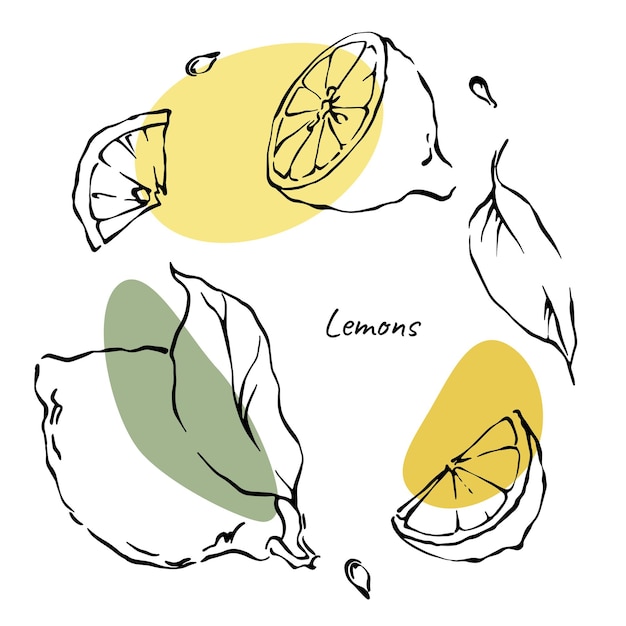 Vector rodajas de limón hojas y seads conjunto de dibujos de contorno con color abstracto amarillo y verde