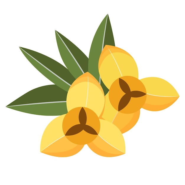 Romduol, la flor nacional de Camboya