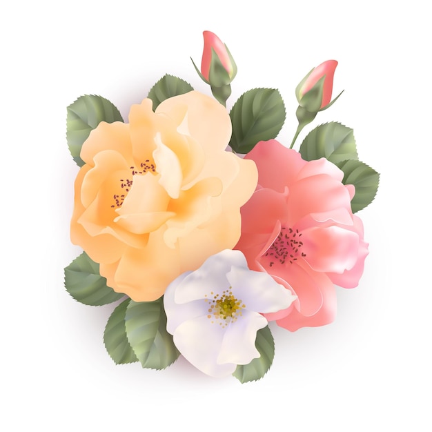 Ropa de rosas