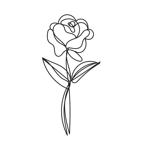 una rosa blanca con un contorno negro en ella