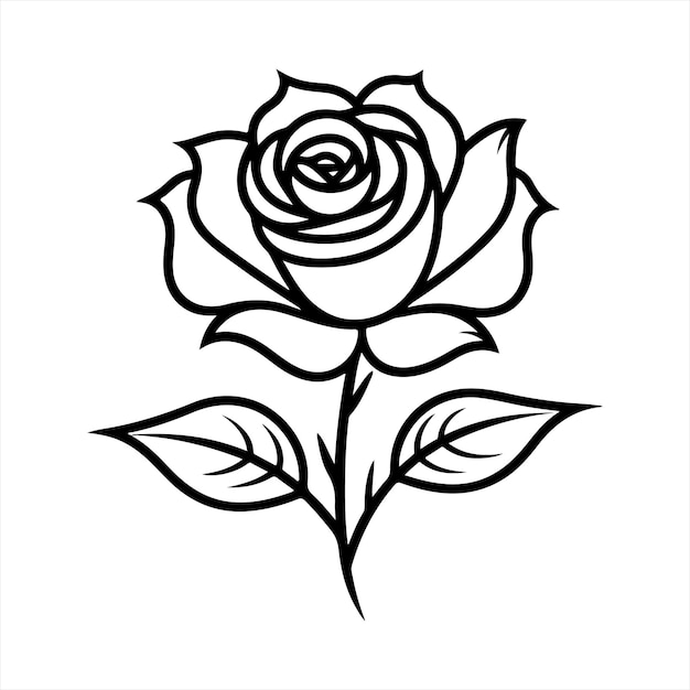una rosa blanca con hojas y un fondo blanco