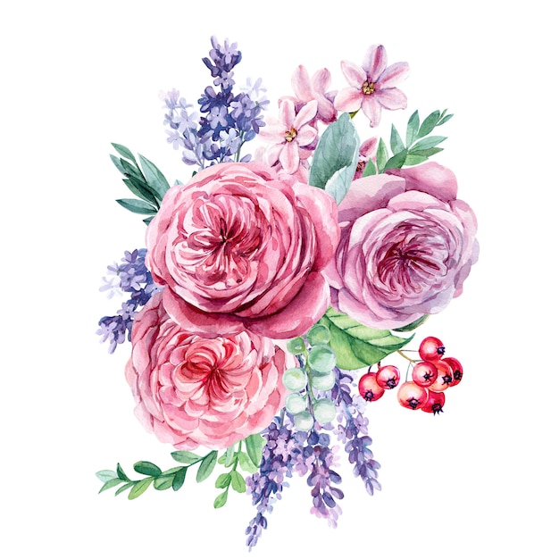 Rosa crisantemo hibisco flor vector ilustración EPS