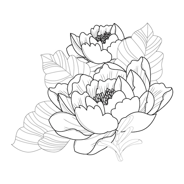 Rosa dibujo a mano flor para colorear