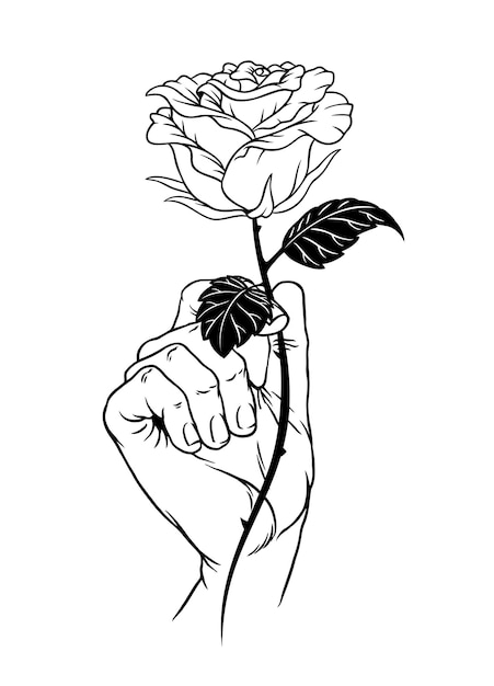Una rosa negra de estilo vintage que se mantiene aislada