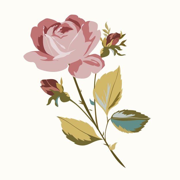 Rosa. Un pequeño ramo de rosas. Patrón de rosa, bonito diseño floral. Patrón sin fisuras. Vector