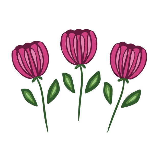 Rosa primavera flores románticas tulipanes símbolo Vector