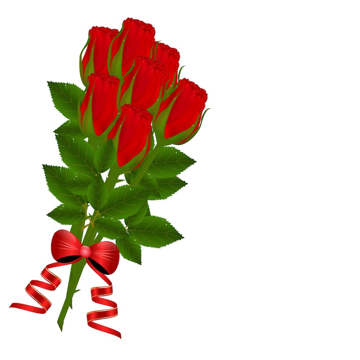Vector rosa roja fresca con gotas de agua aisladas sobre fondo blanco una postal lista ilustración vectorial