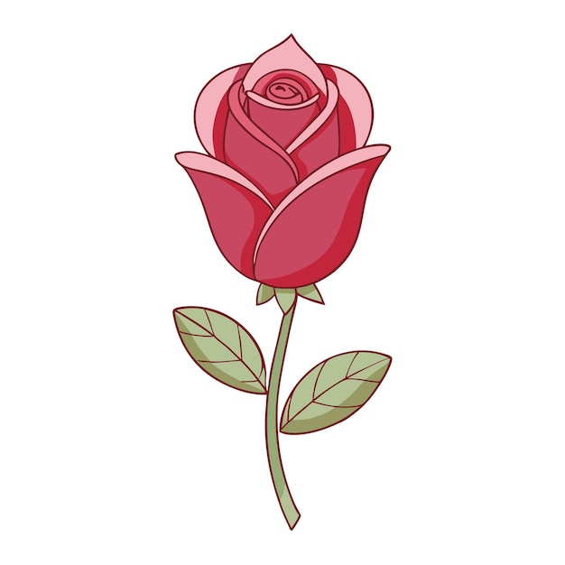 Una rosa roja con hojas verdes sobre un fondo blanco.