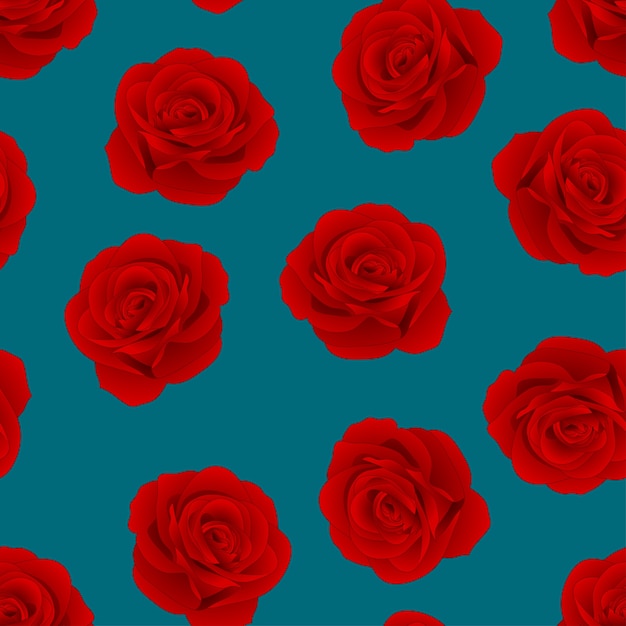 Rosa roja sobre fondo azul índigo