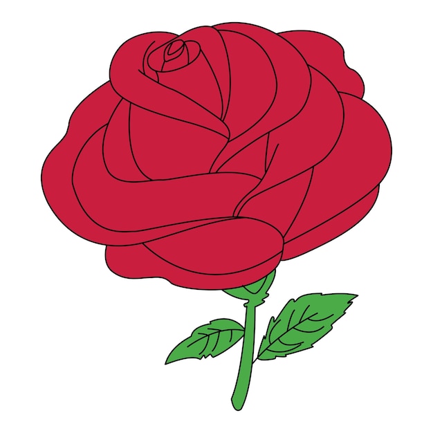 Una rosa roja con un tallo y hojas verdes
