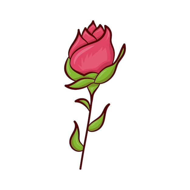Rosa rosa aislada en blanco