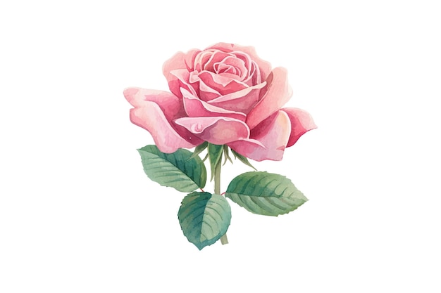 una rosa rosa con hojas verdes y una hoja verde