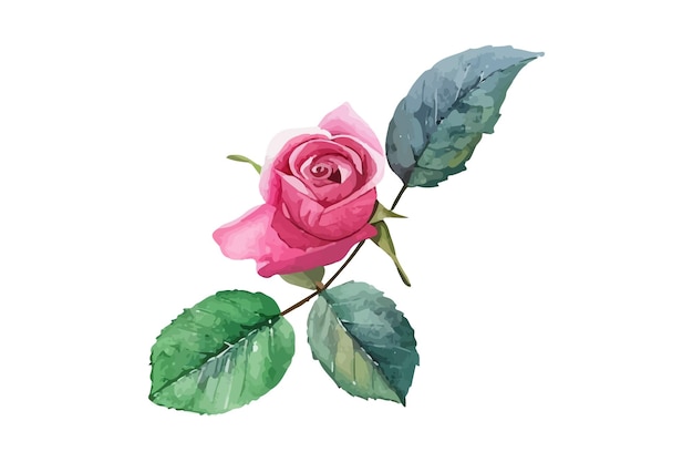 una rosa rosa con hojas verdes y una rosa rosa