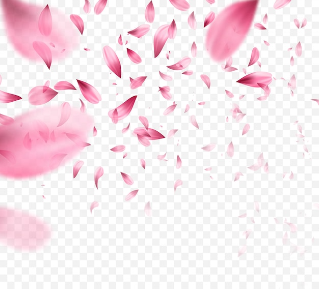 Vector rosa sakura cayendo pétalos de fondo.