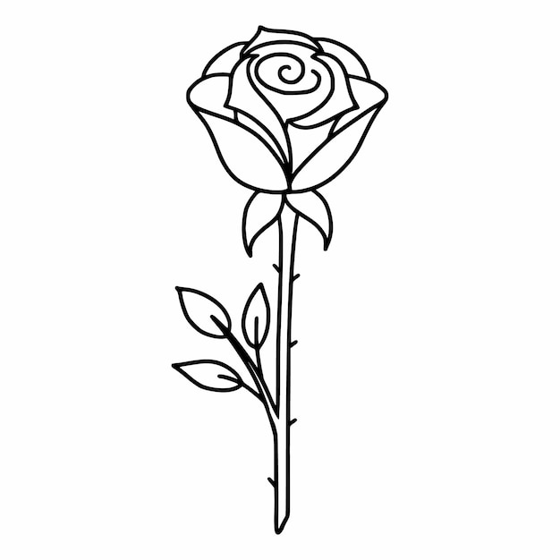 Rosa sobre fondo blanco Vector doodle ilustración Hermosa flor Postal decoración elemento