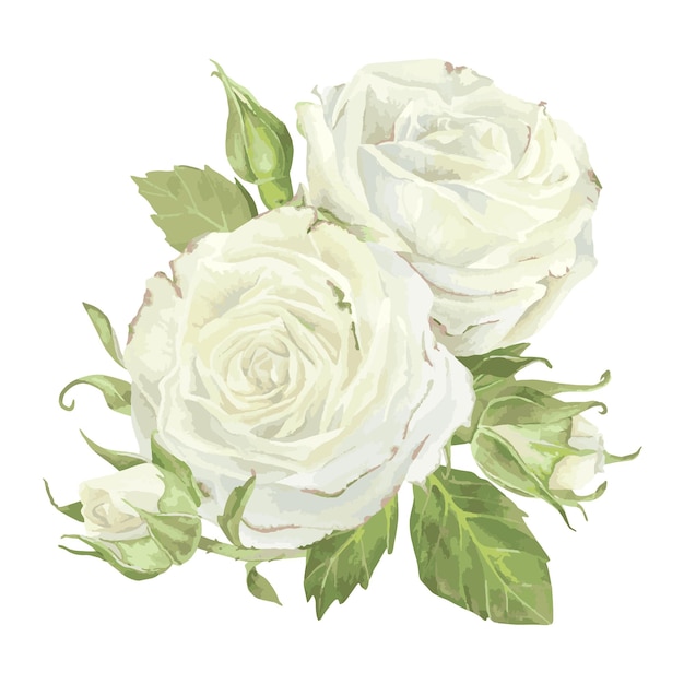 Rosas blancas con composición de hojas Ilustración acuarela