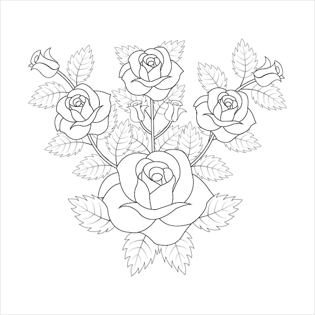 Rosas dibujadas a mano Tres capullos de rosa Stock vector illustrationvector ilustración diseño gráfico