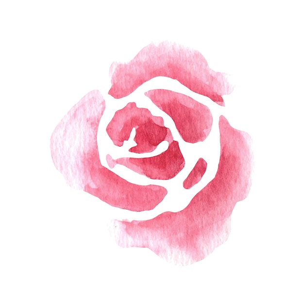 Las rosas rosadas de acuarela suelta Ilustración floral