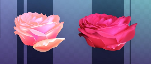 Vector rosas rosadas realistas sobre un fondo vintage azul ilustración vectorial eps10