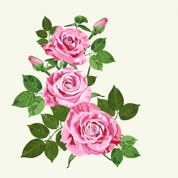 rosas rosadas en verde