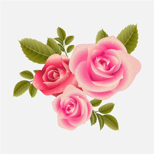 rosas rosas con hojas verdes y hojas verdes sobre un fondo blanco