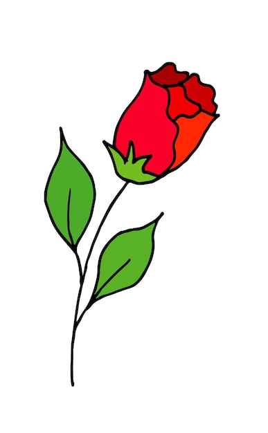 Rose es una caricatura de dibujo a mano alzada. Un capullo de rosa en flor. Ilustración vectorial.