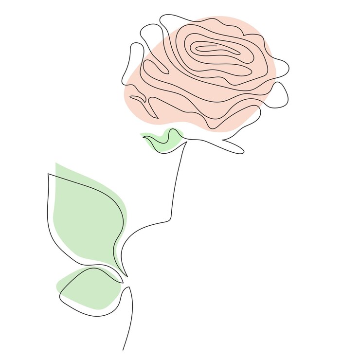 Vector rose line art vector dibujo de línea continua y manchas de color diseño floral mínimo abstracto