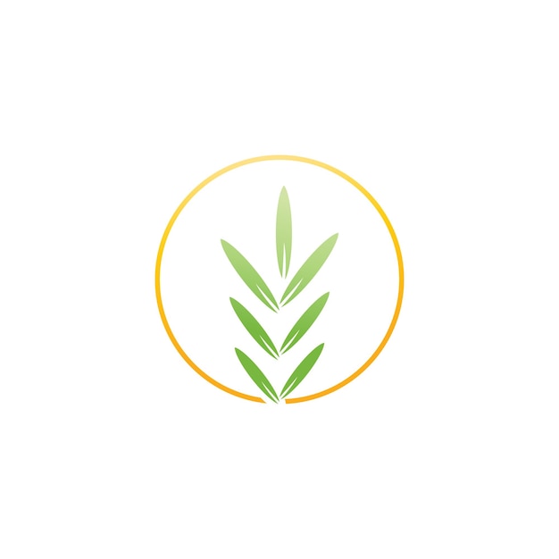 Rosemary logo vector ilustración plantilla negocio elemento y símbolo diseño