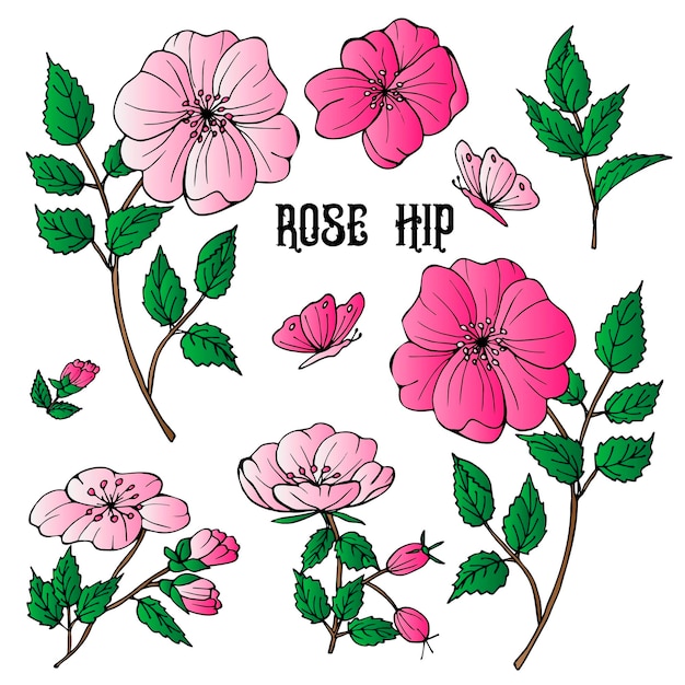 Roseshipset