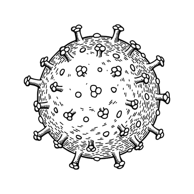 Vector rotavirus dibujado a mano aislado sobre fondo blanco