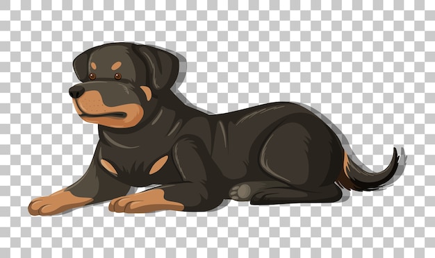 Rottweiler en posición de colocación personaje de dibujos animados aislado sobre fondo transparente