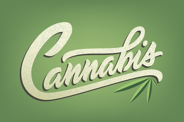 Vector rotulación de cannabis para anuncios, logotipos, pancartas o tiendas.