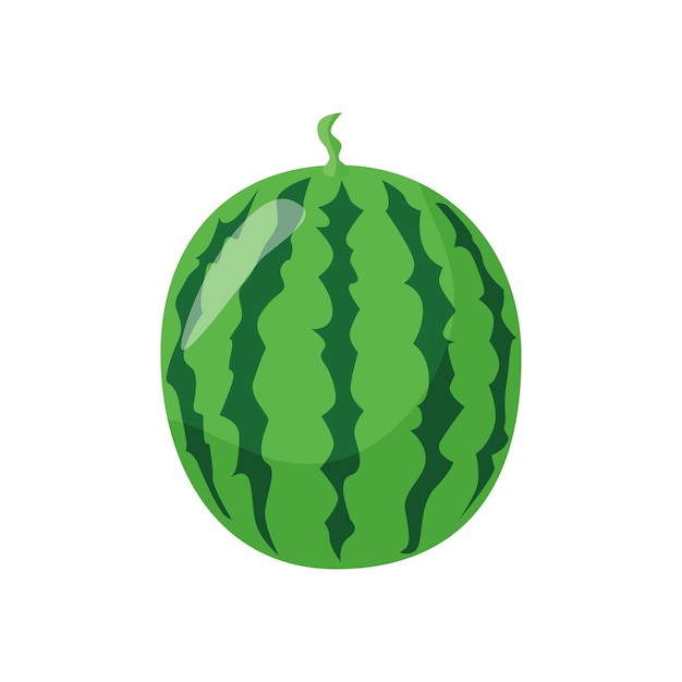 Round green watermelon organic natural dessert healthy sweet red juicy summer fruit Hand drawn