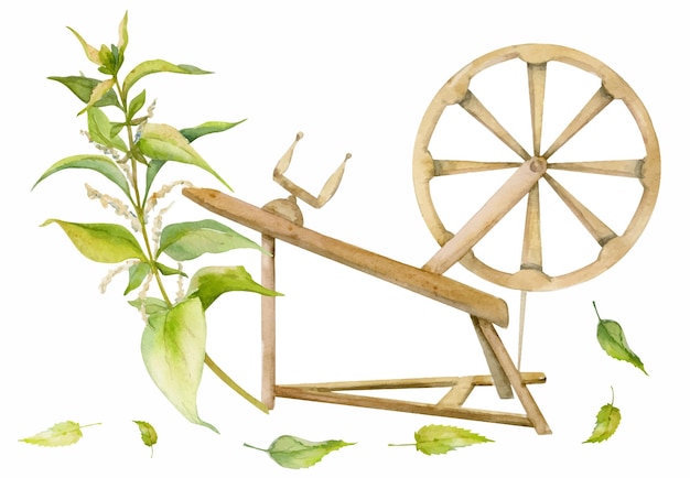 Rueda giratoria de acuarela dibujada a mano con hojas de ortiga en el tallo Planta natural Ilustración botánica composición de objetos aislados sobre fondo blanco Para el folleto de tarjetas del sitio web impreso con el logotipo de la tienda