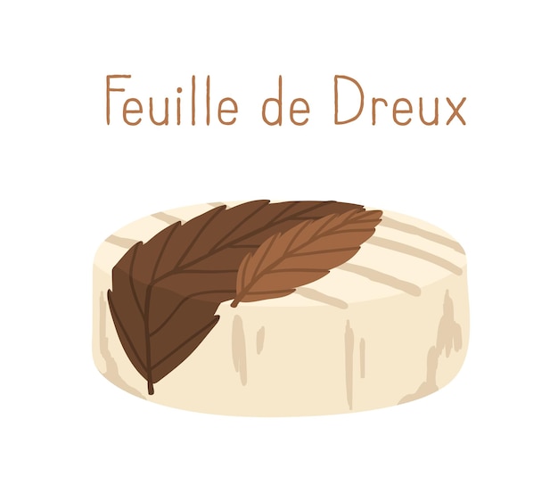 Rueda de queso francés de Feuille de Dreux decorada con hoja de castaño. Cabeza entera de queso suave gourmet. Ilustración de vector plano coloreado de delicatessen con sabor a bosque aislado sobre fondo blanco.