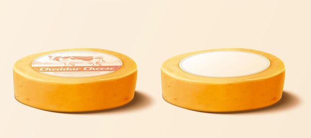 Vector ruedas de queso cheddar 3d